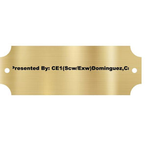 Brass Plate, 2.5&#34; x .875&#34;, with screw holes