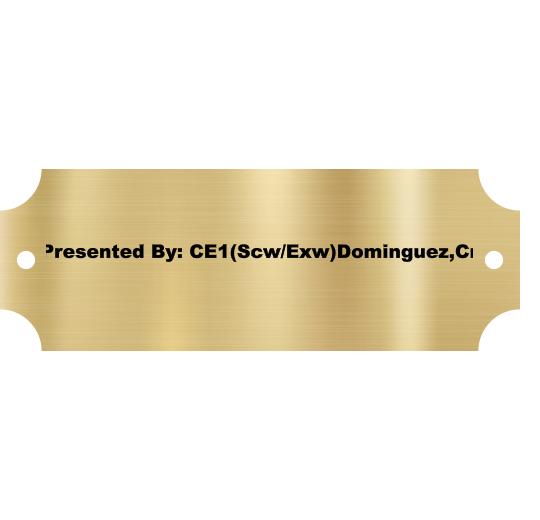 Brass Plate, 2.5" x .875", with screw holes