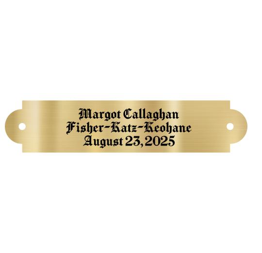 Brass Plate, 3.5" x .75", with screw holes