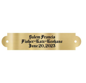 Brass Plate, 3.5&#34; x .75&#34;, with screw holes