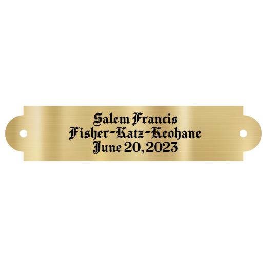 Brass Plate, 3.5" x .75", with screw holes