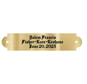 Brass Plate, 3.5&#34; x .75&#34;, with screw holes