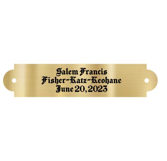 Brass Plate, 3.5" x .75", with screw holes